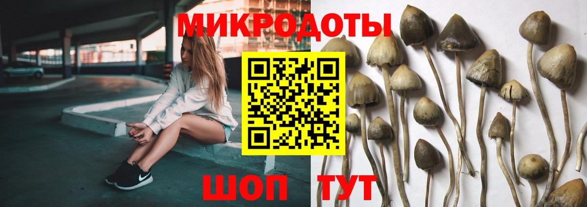 Галлюциногенные грибы мицелий Белая Калитва
